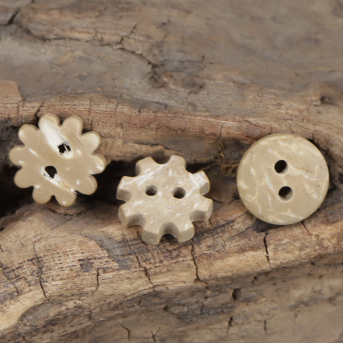 Sunflower Gear Bread Shaped 2 Hole Coconut Shell Buttons 60 Pack - Lots of Buttons