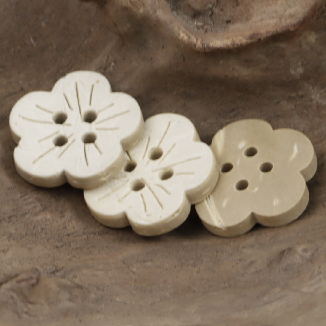 Beige Small Flower Natural Coconut Shell Buttons for Baby Clothing 50pcs - Lots of Buttons