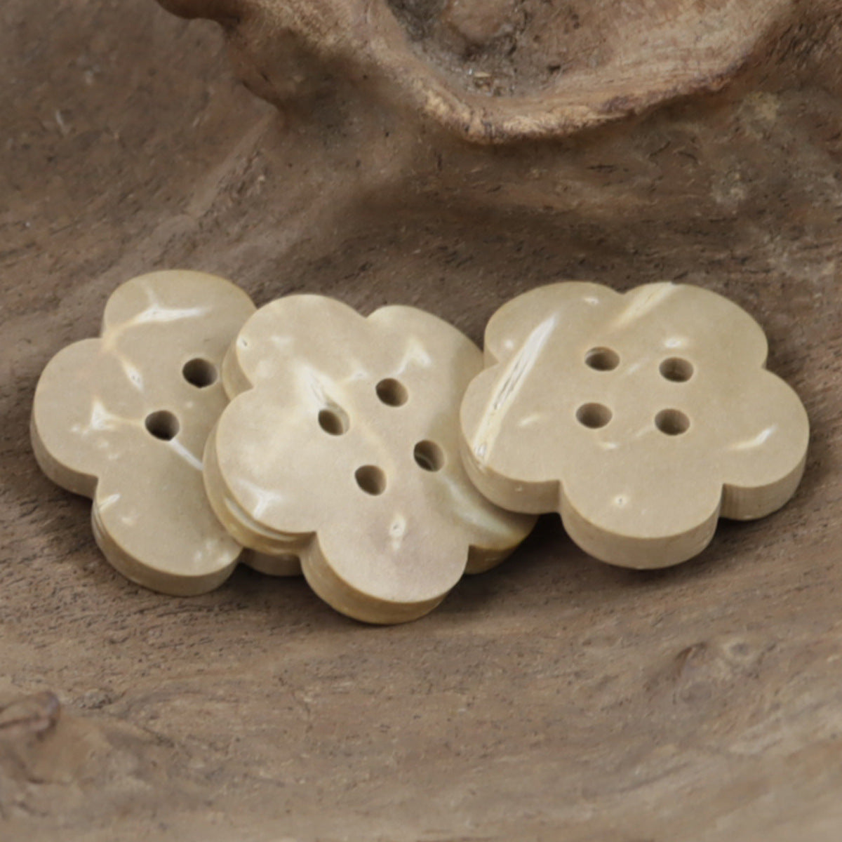 Beige Small Flower Natural Coconut Shell Buttons for Baby Clothing 50pcs - Lots of Buttons