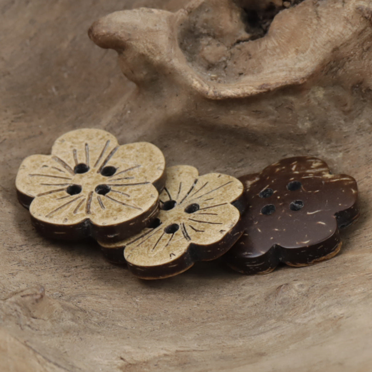 Natural Coconut Cute Flower Children Flat Buttons,20pcs - Lots of Buttons