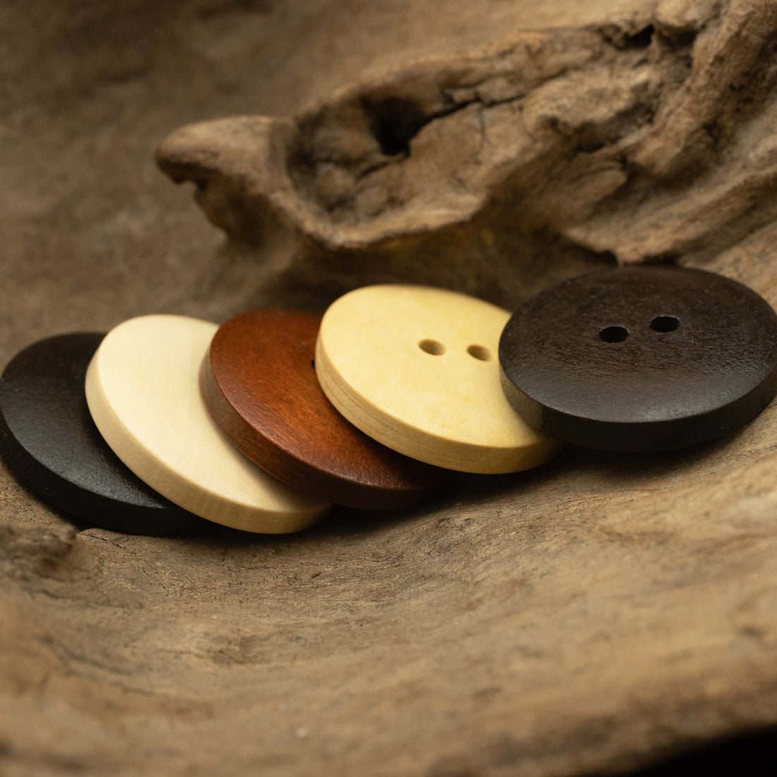 Two-Hole Dotted Wood Buttons Bowl-Shaped 50 Pack - Lots of Buttons